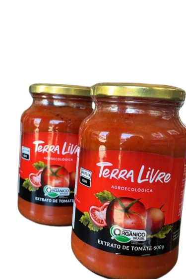 Extrato de tomate - 600g