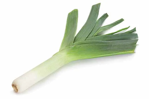 Alho poró - MÇ